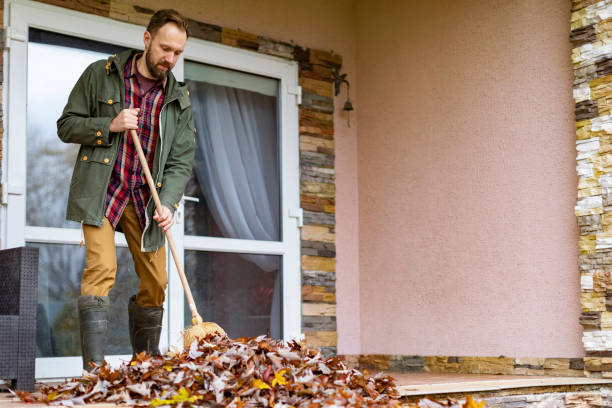 Best Furniture Removal Near Me  in Irving, TX